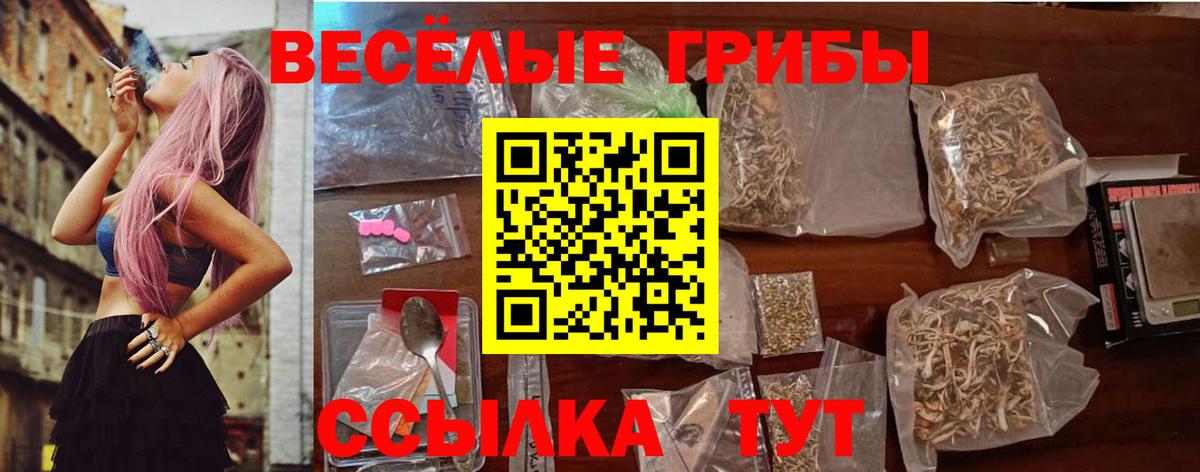 Галлюциногенные грибы GOLDEN TEACHER  Псилоцибиновые грибы прущие грибы  Курчатов  наркота  Вход с VPN 